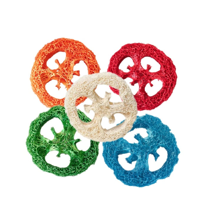 Natural Loofah Pet Dental Toy 3