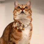 Brown Embroidered Lace Bow Collar with Bell