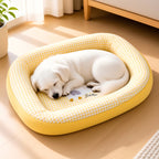 Fully Removable Waterproof Bed