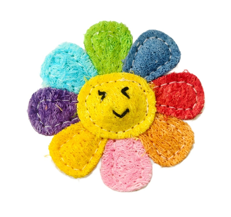 Natural Loofah Pet Dental Toy 4
