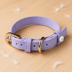 Microfiber Leather Daisy Collar