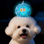Squeaky Mop Ball Dental Chew Toy