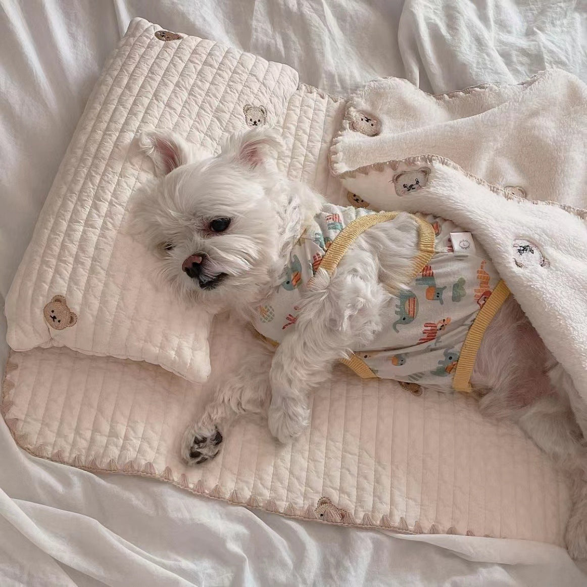 Cozy Embroidered Cotton Pet Pillow Quilt Bed Set