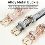 Charm-Ready Collar with Dual D-Rings