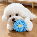 Squeaky Mop Ball Dental Chew Toy