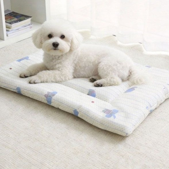 Reversible All-Season Cotton Cushion