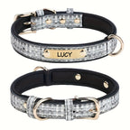 Charm-Ready Collar with Dual D-Rings