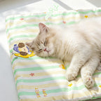 Reversible All-Season Cotton Cushion